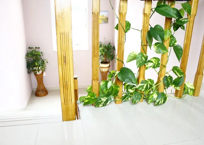 Appartement Old Stone